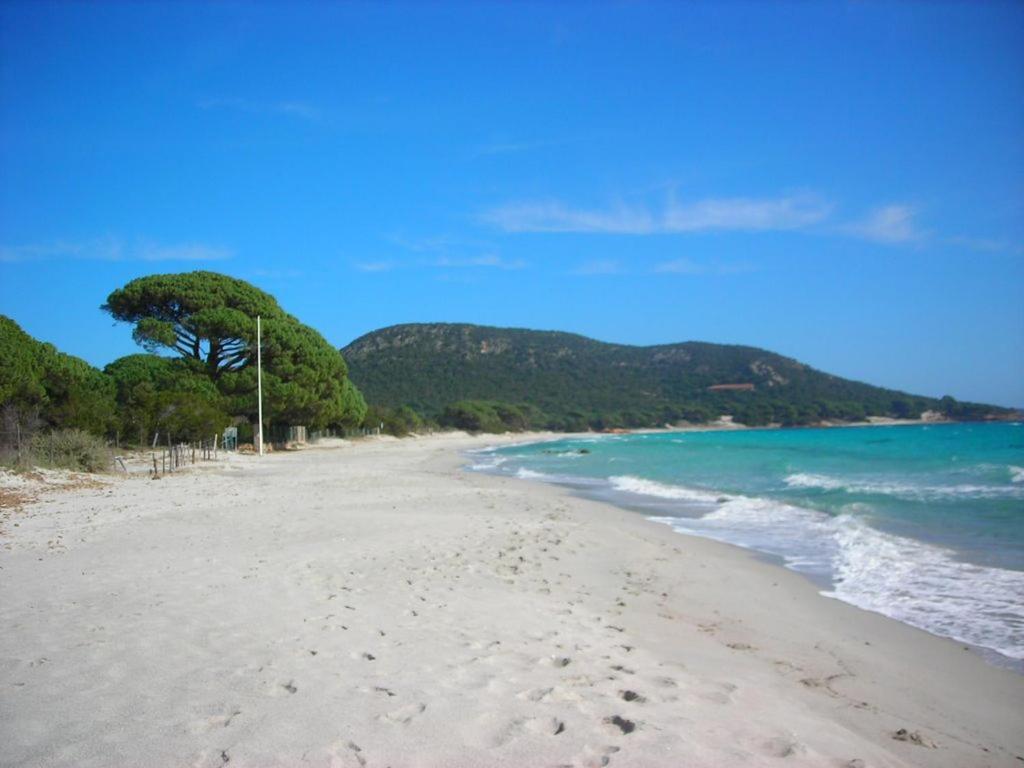 Villa Largia Porto Vecchio - A 5 Min Des Plages De Palombaggia - Calme- Climatisation Экстерьер фото